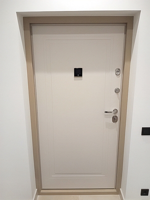 Дверь с видеоглазком Дверь с видеоглазком