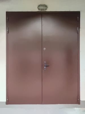 Двупольная техническая дверь (ул. Фридриха Энгельса) Двупольная техническая дверь (ул. Фридриха Энгельса)