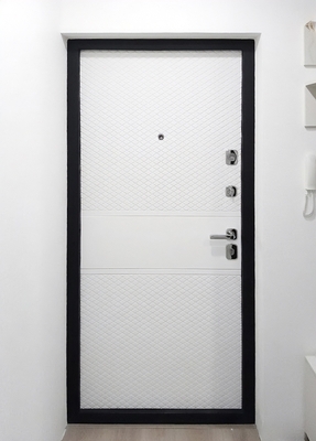 Входная дверь с прихожей квартиры